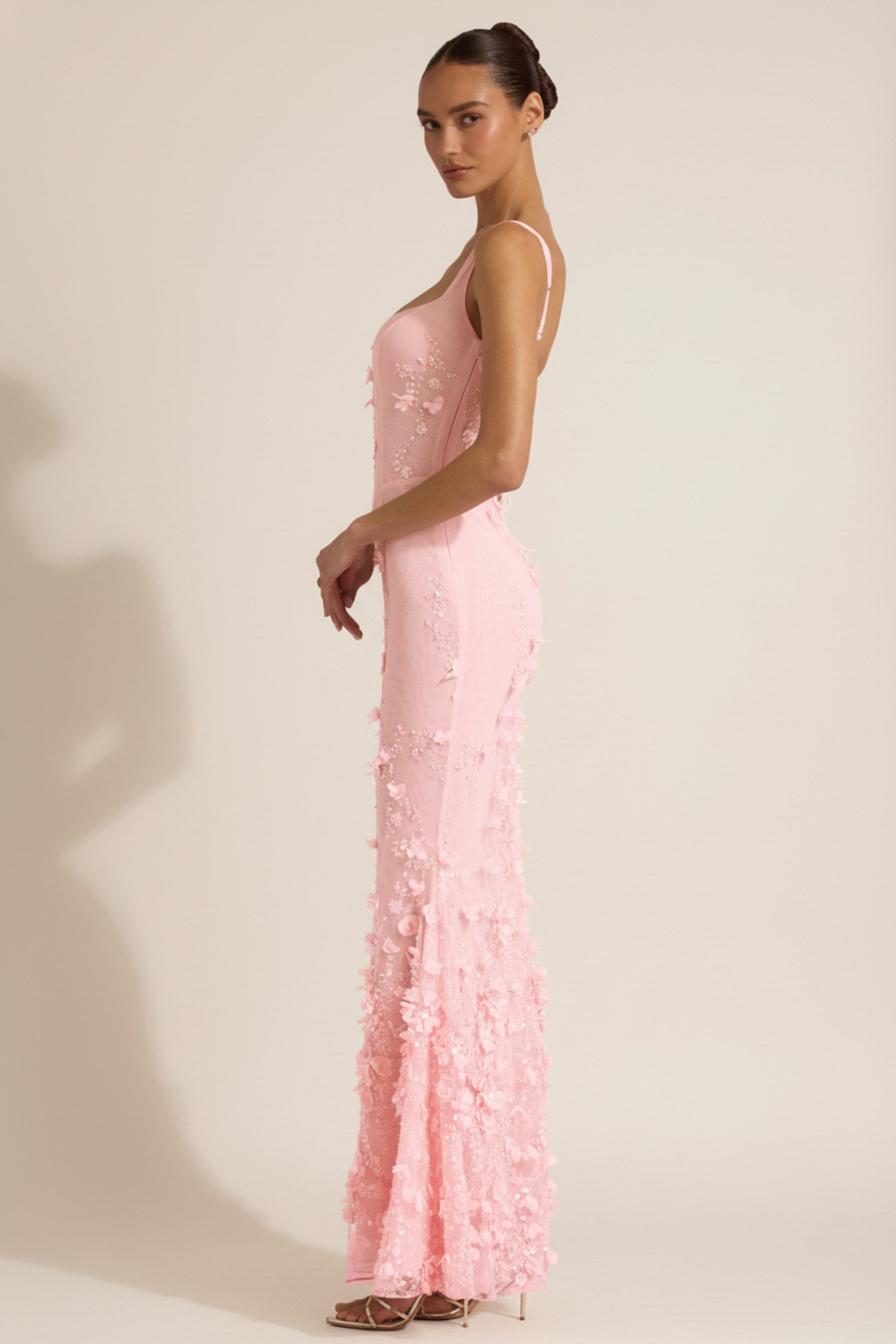 Celestine Appliqué Corset Gown in Blush Scoop Corset Gown in Pink 3