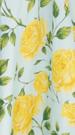 Kaethe Floral Maxi Dress Lemon/Aqua Floral 5