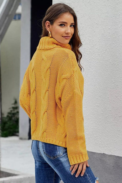 Rosalie Cable Knit Turtleneck Sweater Multi 1