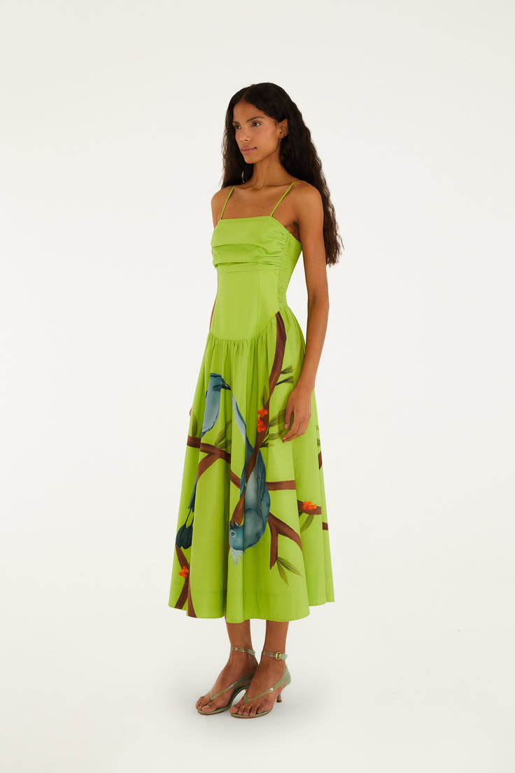 Valentina Sleeveless Maxi Dress in Sage Sage 1