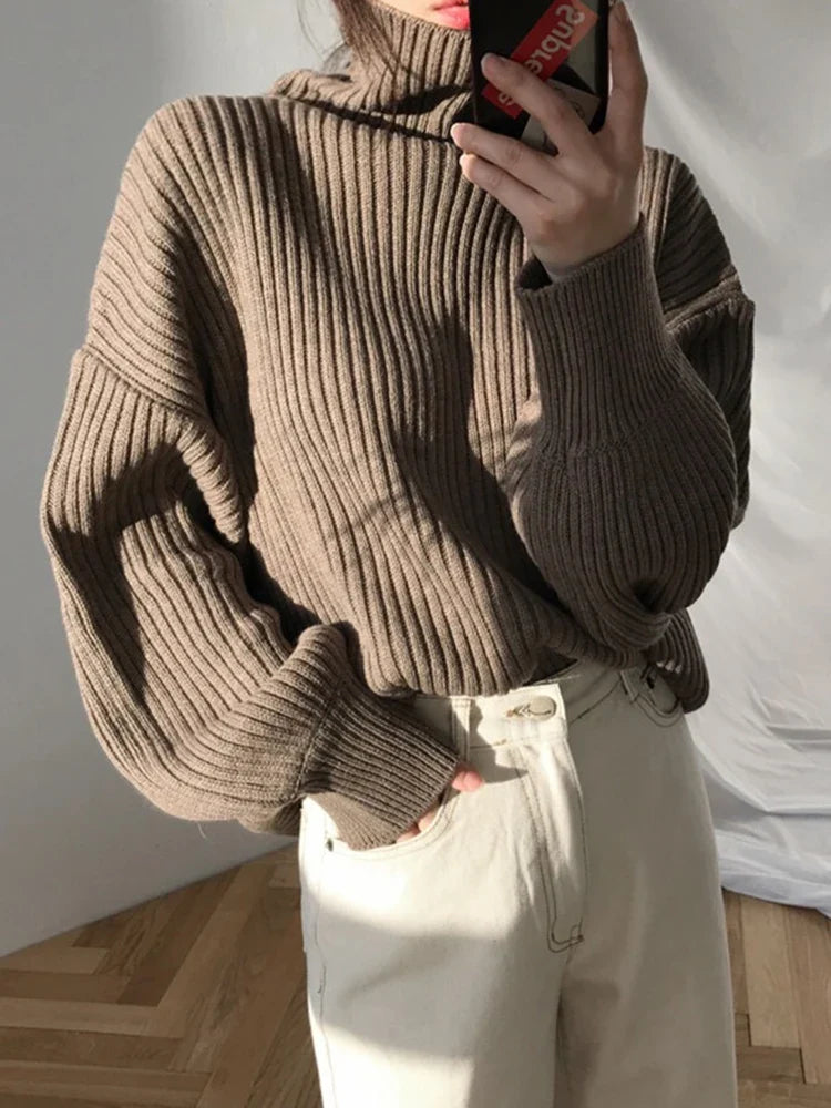Margot Turtleneck Knit Sweater in Brown Brown 2