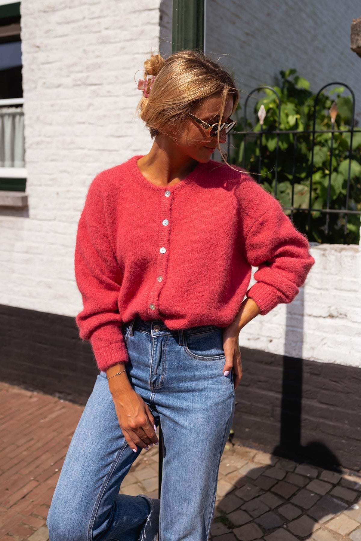 Raspberry Sweater Cardigan Multi 1