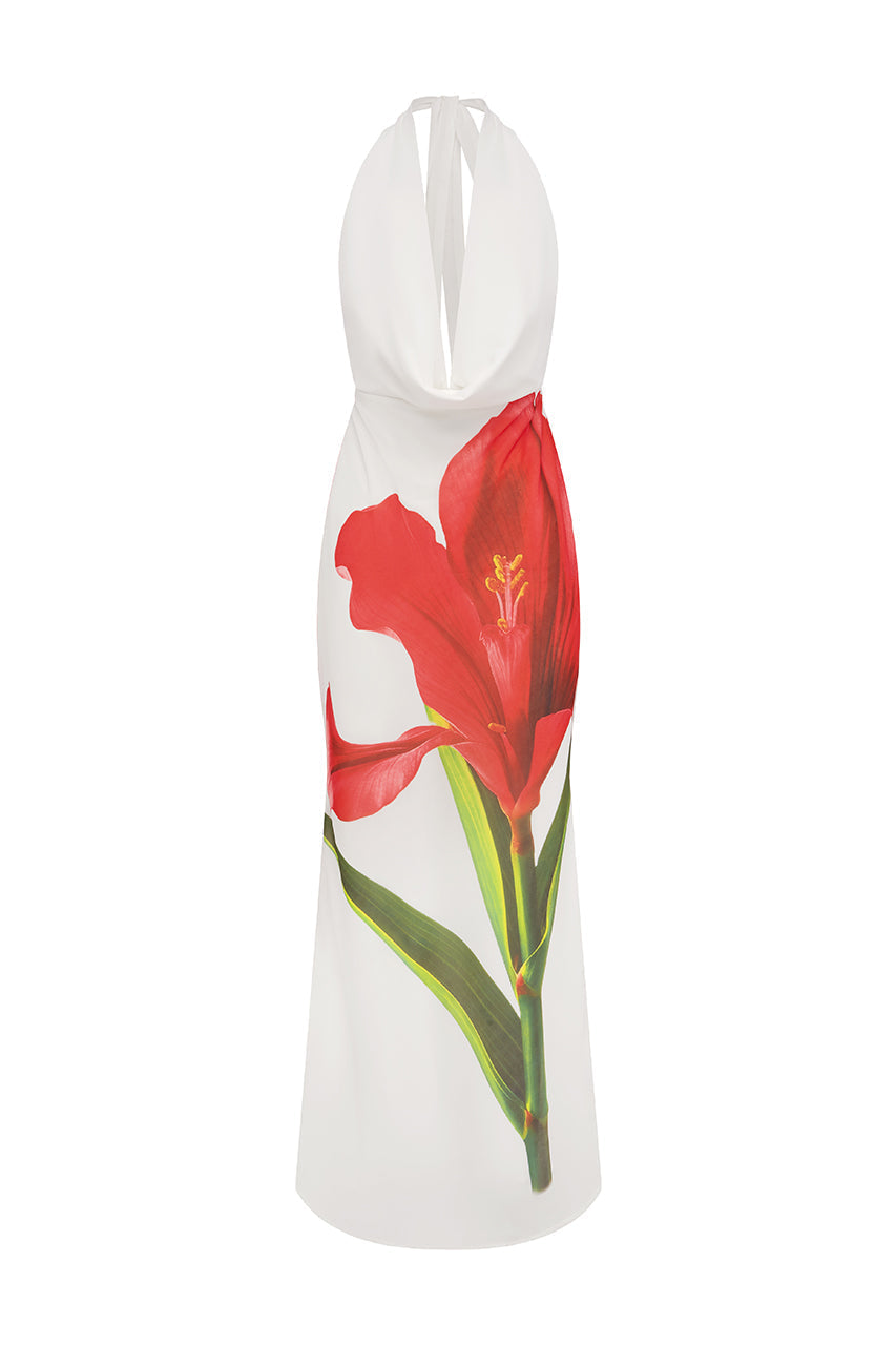 Jasmina Red Lily Maxi Dress Red Lily 6