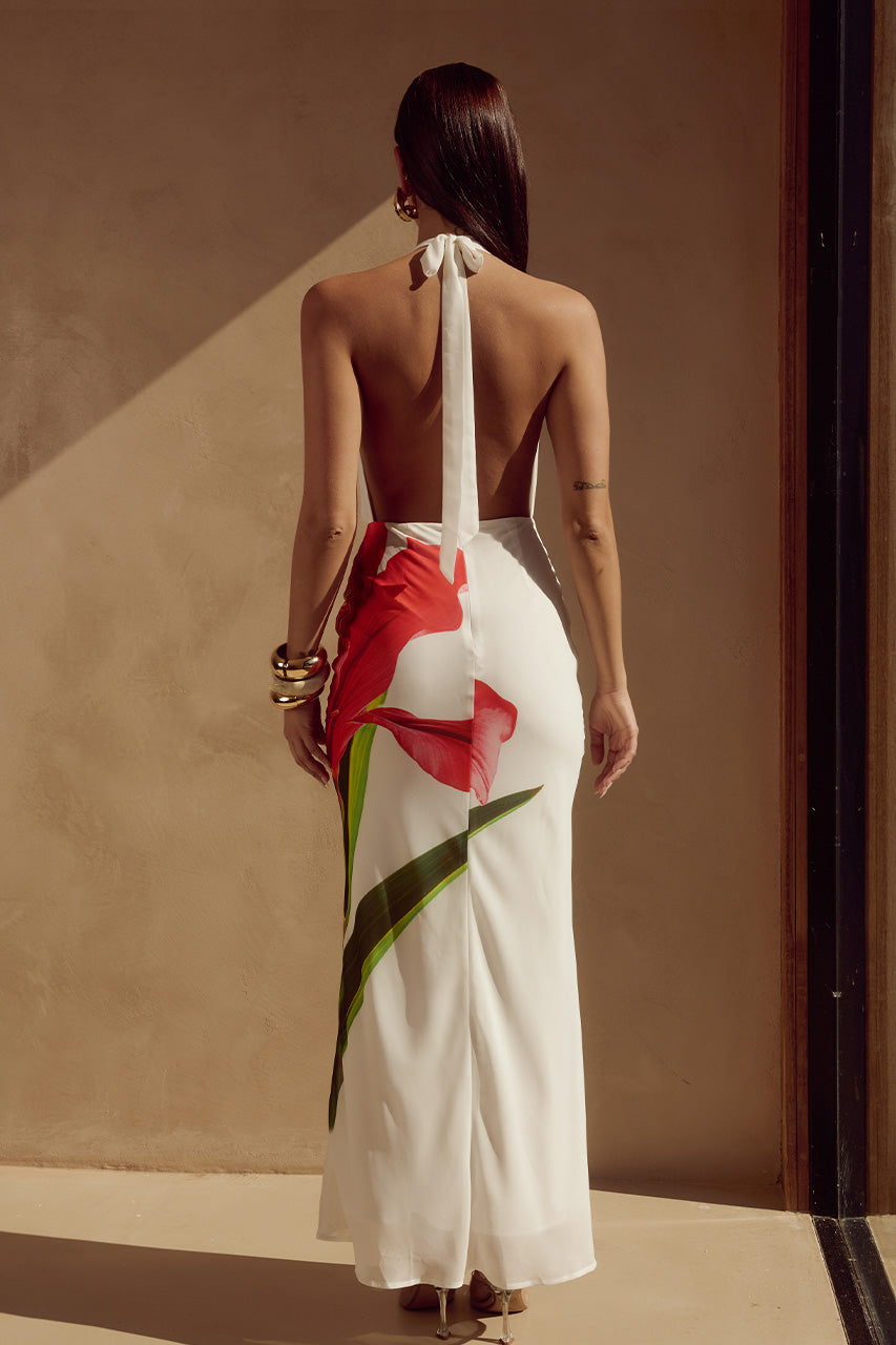 Jasmina Red Lily Maxi Dress Red Lily 4