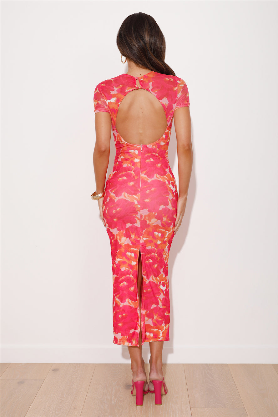 Luminique Mesh Maxi Dress in Blush 4