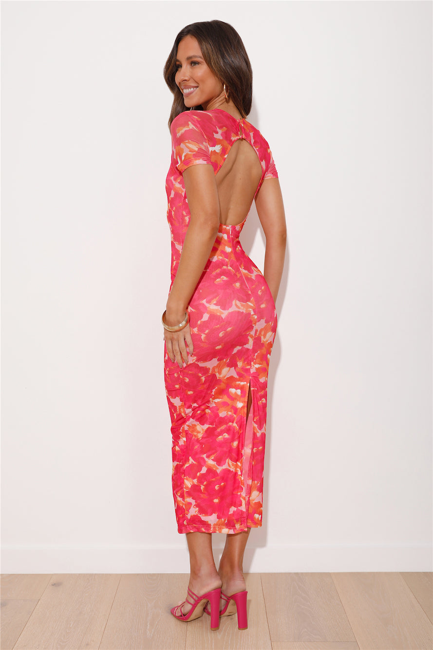 Luminique Mesh Maxi Dress in Blush 3