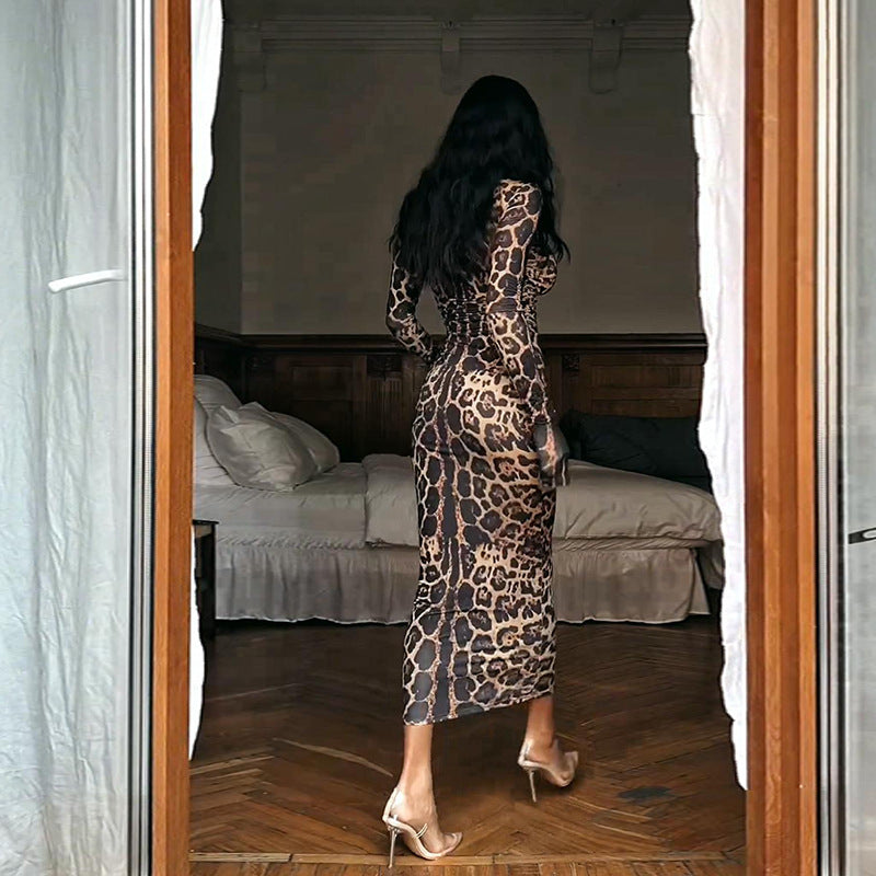 Arabella Leopard Maxi Dress Multi 4