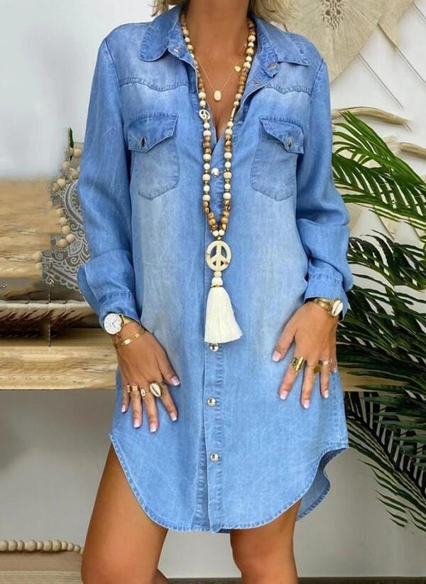 Charlotte Denim Shirt Dress Multi 1