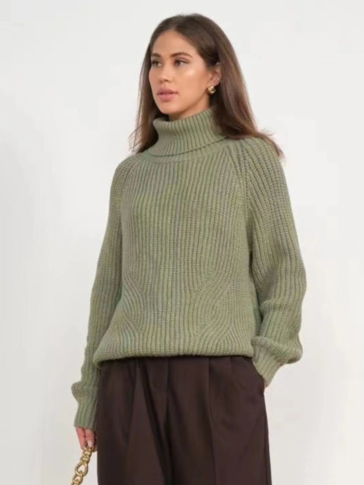 Violet Turtleneck Sweater Brown 1