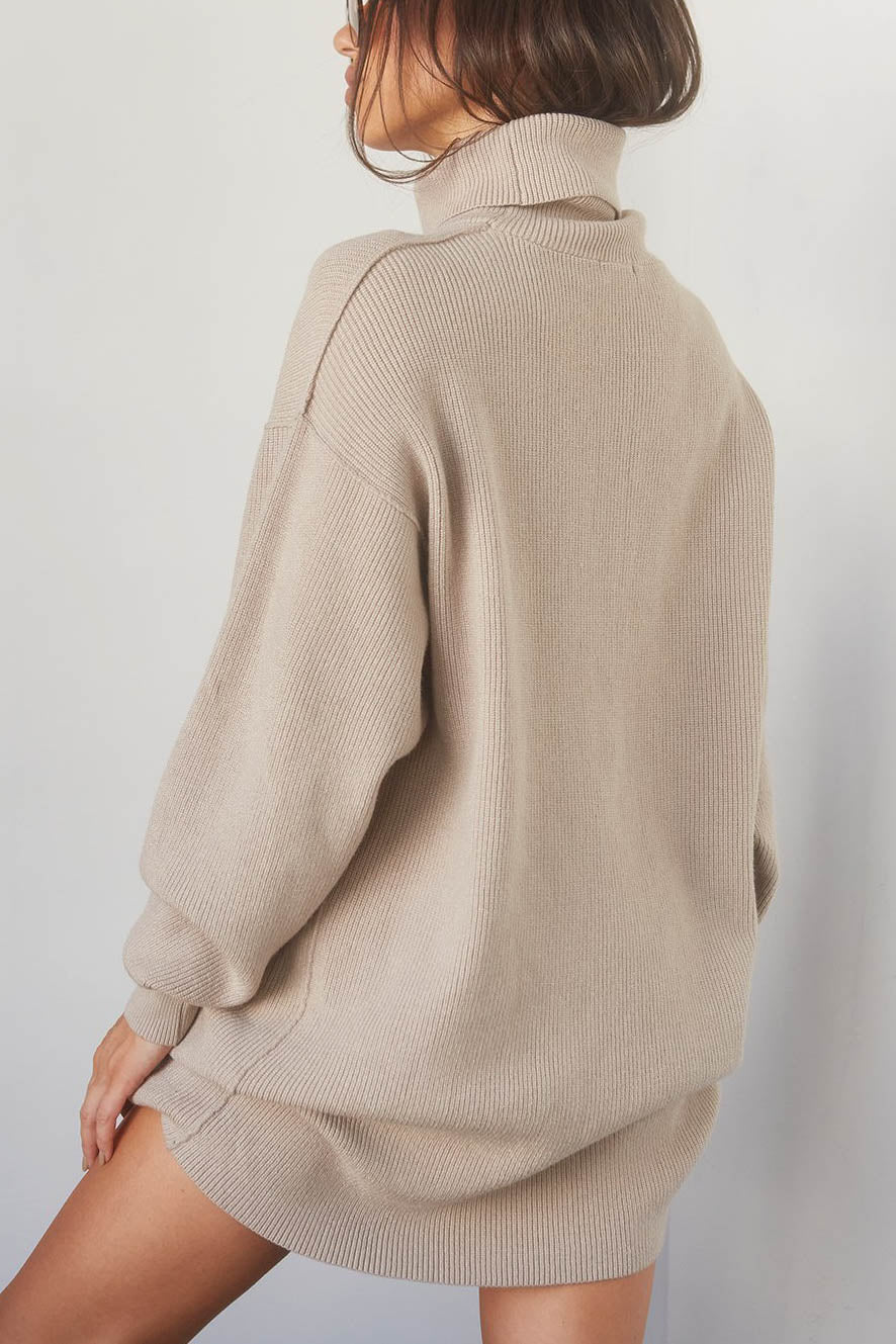 Margot Turtleneck Sweater Dress Multi 3