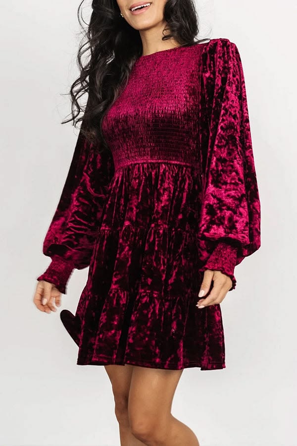 Kele Velvet Mini Dress in Wine Red Wine 1