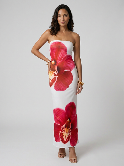 ARIEL MAXI DRESS 1