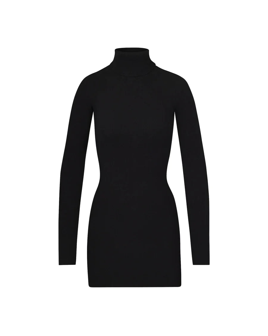 Minerva Turtleneck Mini Dress in Black Black 3
