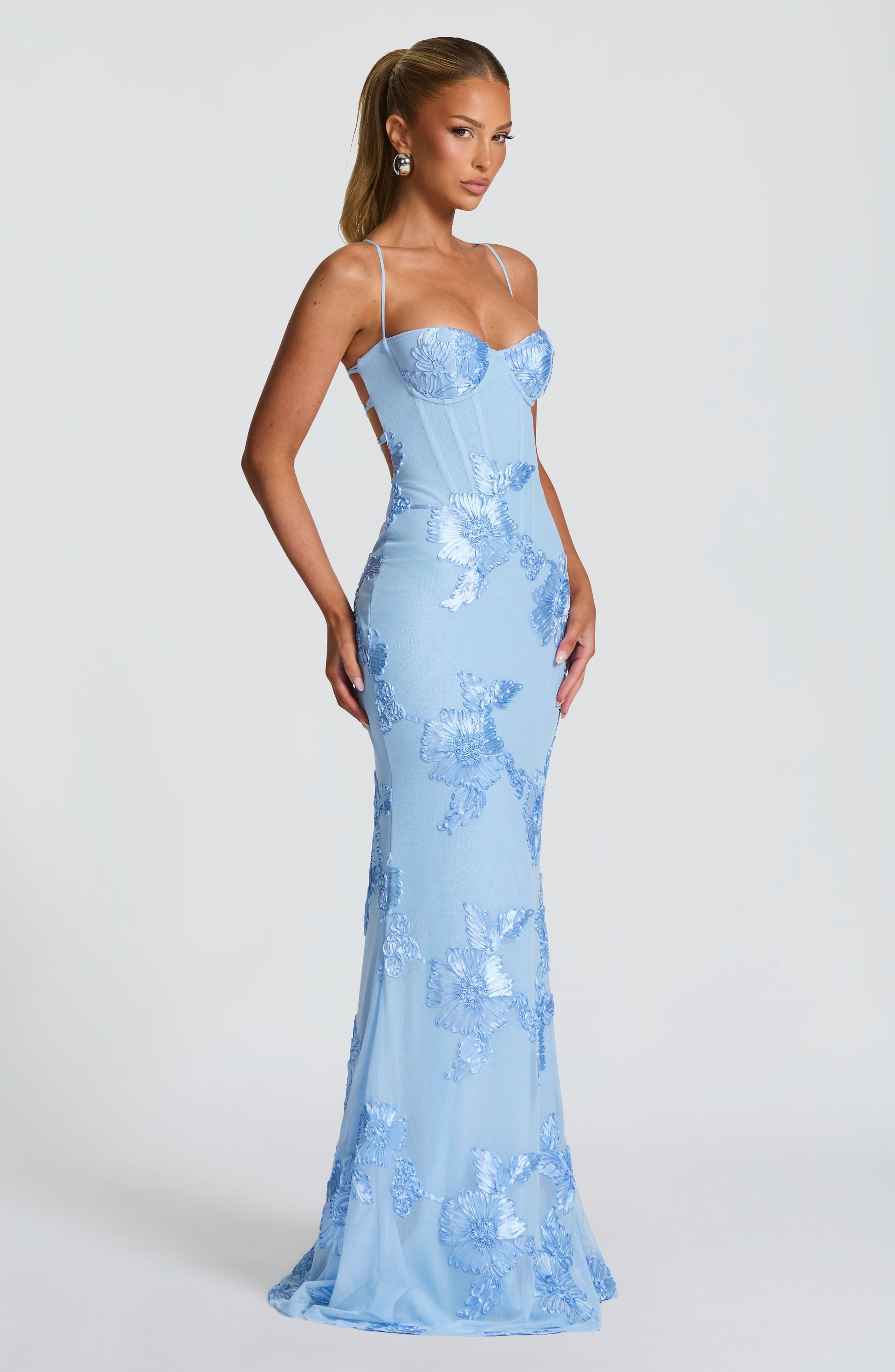 Nefertiti Plum Silk Maxi Dress Glacier Blue 4