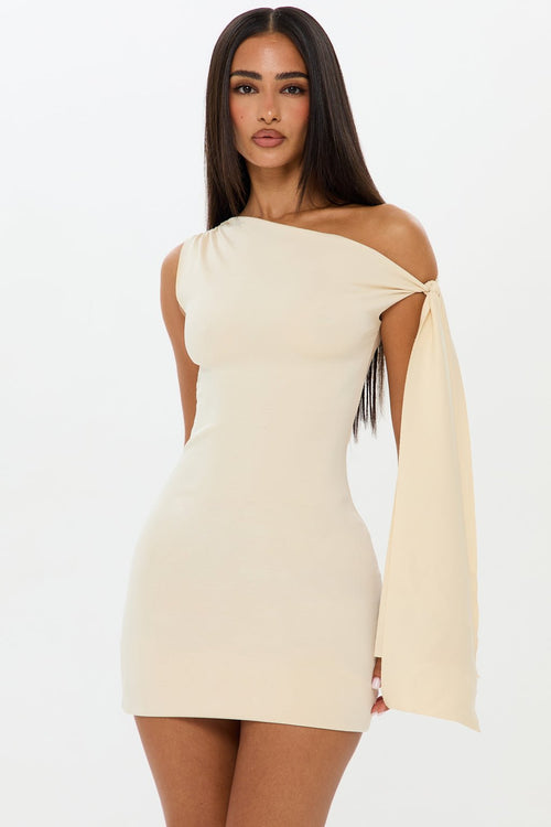 Margot Suede Mini Dress 1