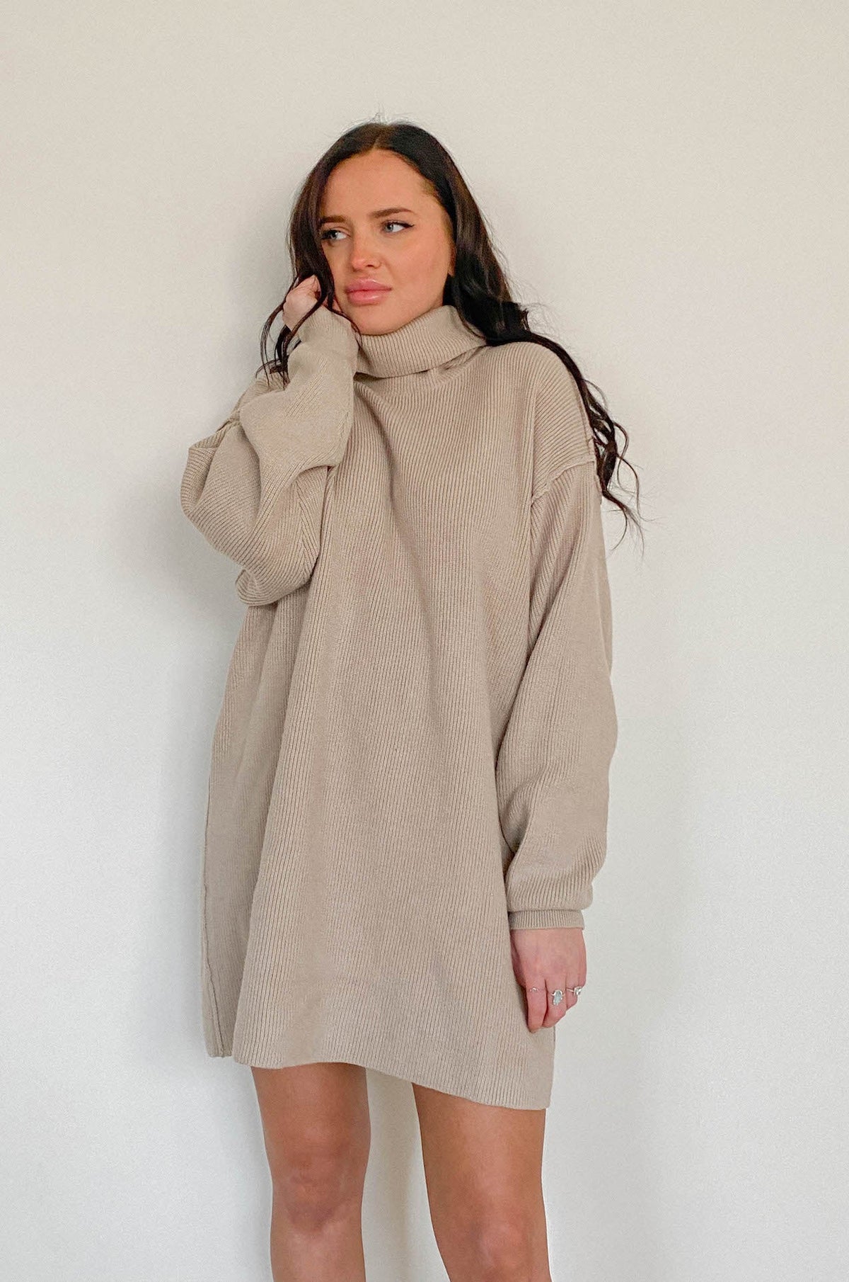 Margot Turtleneck Sweater Dress Multi 6