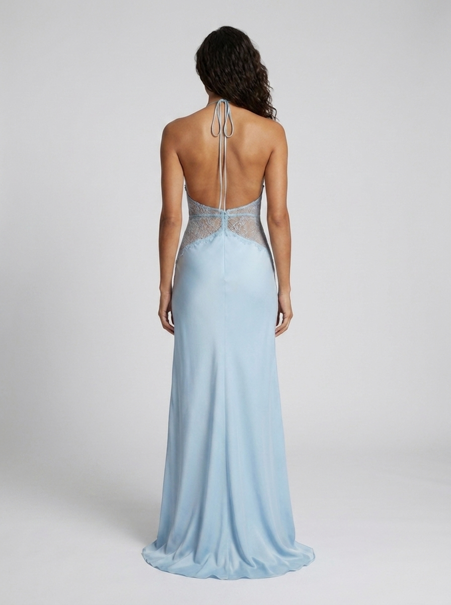 SELINA MAXI DRESS Blue back