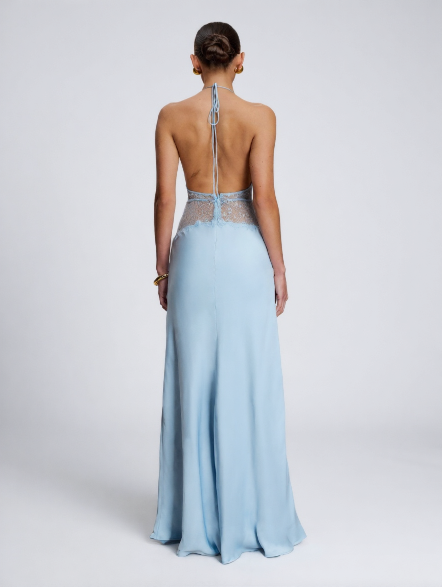 SELINA MAXI DRESS Blue back